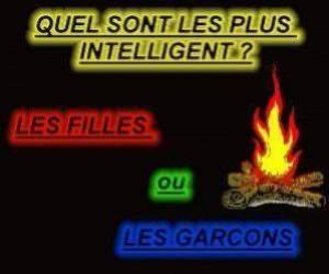 quel sont les plus intelligent